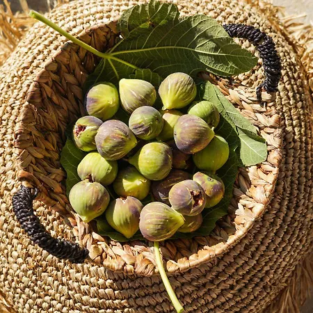 Hotel Casa Santantonio 4*