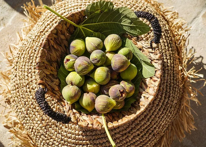 酒店 Casa Santantonio 4*